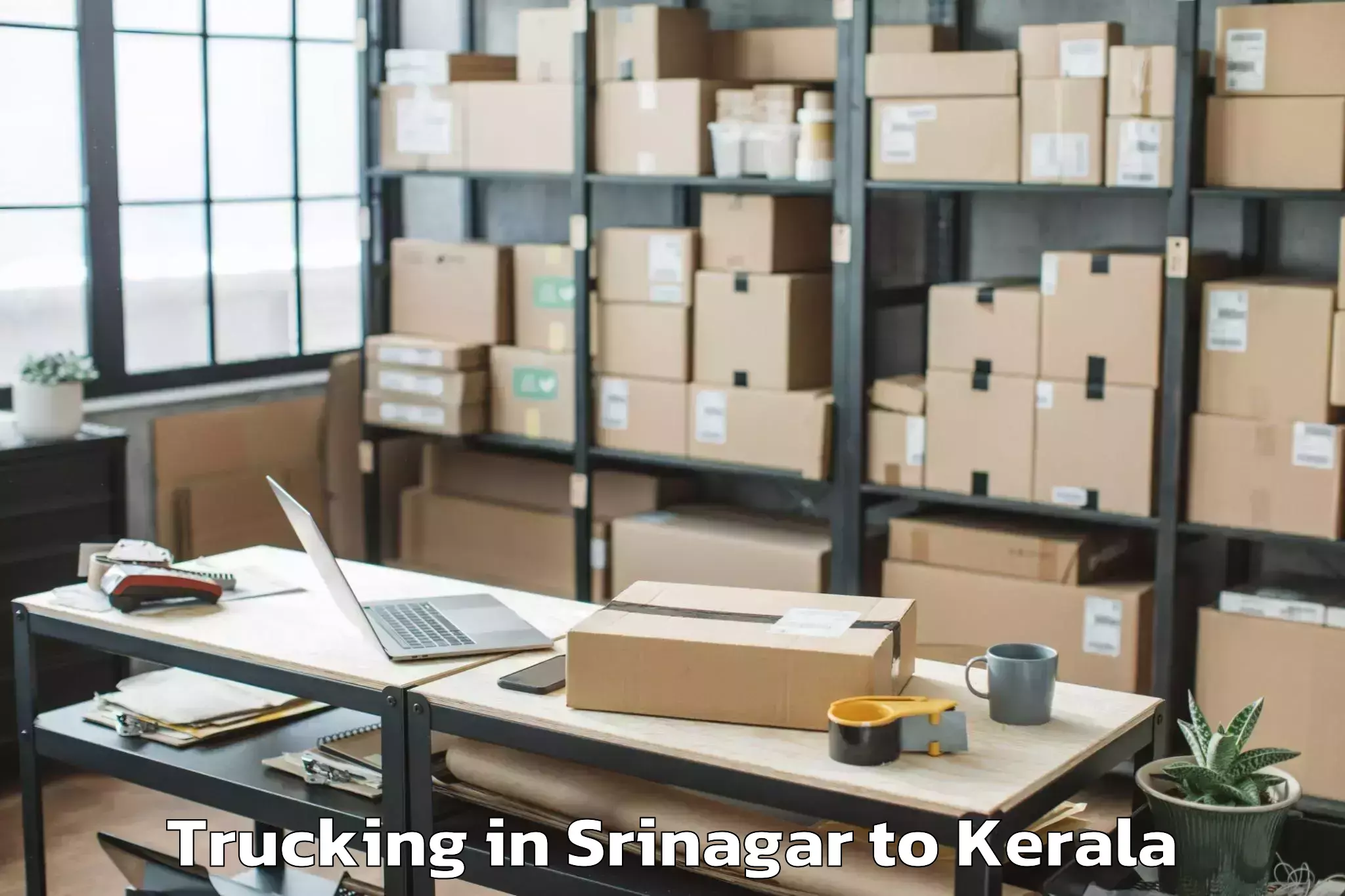 Easy Srinagar to Thrissur Trucking Booking